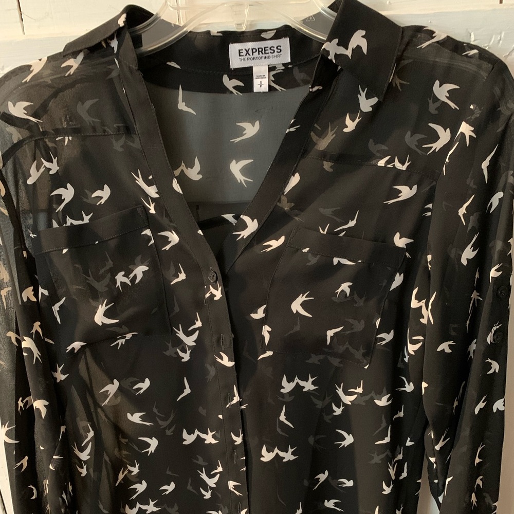Express small sheer blouse